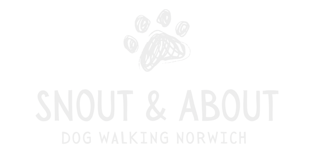 Snout and About Norwich