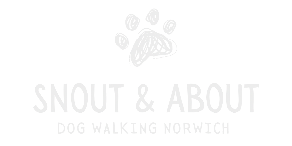 Snout & About Norwich